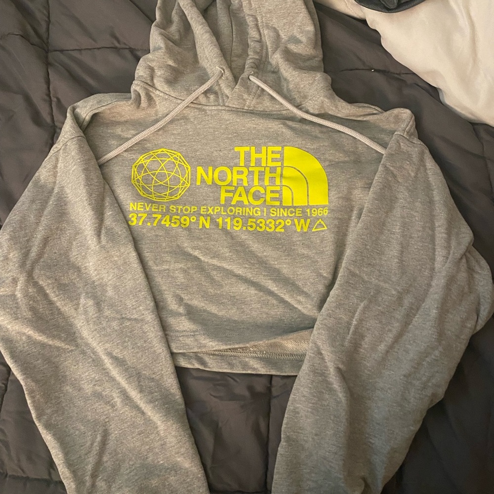 The North Face Crop Top Hoodie